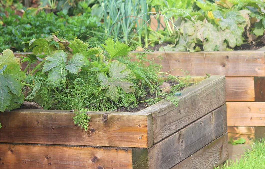 Transform Your Garden with Sleeper Landscaping Ideas